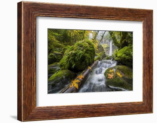 USA, Oregon. View from Below Elowah Falls on Mccord Creek in Autumn in the Columbia Gorge-Gary Luhm-Framed Photographic Print