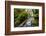 USA, Oregon. View from Below Elowah Falls on Mccord Creek in Autumn in the Columbia Gorge-Gary Luhm-Framed Photographic Print