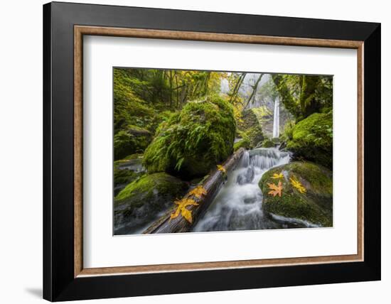 USA, Oregon. View from Below Elowah Falls on Mccord Creek in Autumn in the Columbia Gorge-Gary Luhm-Framed Photographic Print