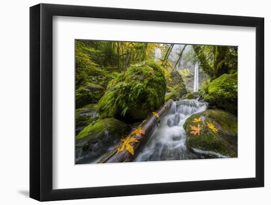 USA, Oregon. View from Below Elowah Falls on Mccord Creek in Autumn in the Columbia Gorge-Gary Luhm-Framed Photographic Print