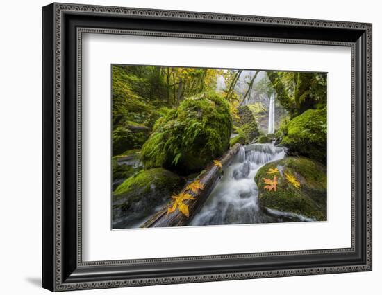 USA, Oregon. View from Below Elowah Falls on Mccord Creek in Autumn in the Columbia Gorge-Gary Luhm-Framed Photographic Print