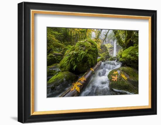 USA, Oregon. View from Below Elowah Falls on Mccord Creek in Autumn in the Columbia Gorge-Gary Luhm-Framed Photographic Print