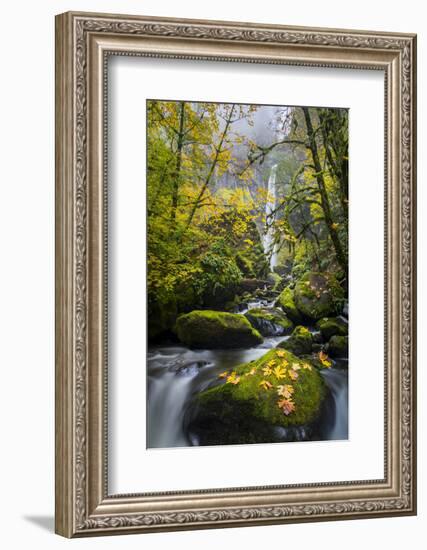 USA, Oregon. View from Below Elowah Falls on Mccord Creek in Autumn in the Columbia Gorge-Gary Luhm-Framed Photographic Print