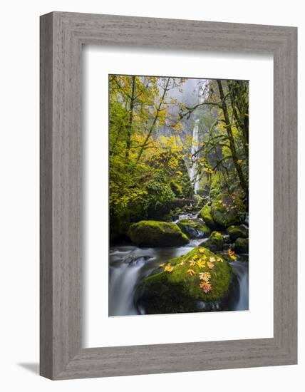 USA, Oregon. View from Below Elowah Falls on Mccord Creek in Autumn in the Columbia Gorge-Gary Luhm-Framed Photographic Print