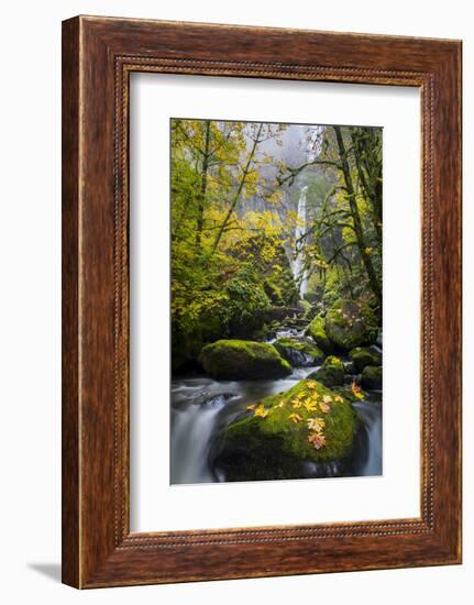 USA, Oregon. View from Below Elowah Falls on Mccord Creek in Autumn in the Columbia Gorge-Gary Luhm-Framed Photographic Print