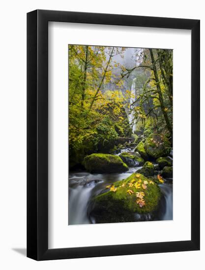 USA, Oregon. View from Below Elowah Falls on Mccord Creek in Autumn in the Columbia Gorge-Gary Luhm-Framed Photographic Print