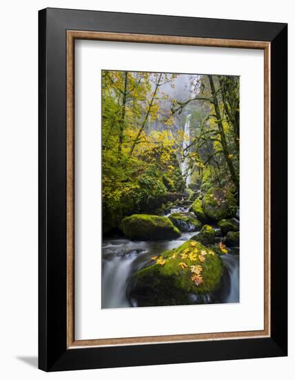 USA, Oregon. View from Below Elowah Falls on Mccord Creek in Autumn in the Columbia Gorge-Gary Luhm-Framed Photographic Print