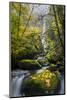 USA, Oregon. View from Below Elowah Falls on Mccord Creek in Autumn in the Columbia Gorge-Gary Luhm-Mounted Photographic Print