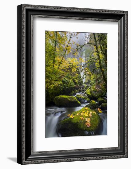 USA, Oregon. View from Below Elowah Falls on Mccord Creek in Autumn in the Columbia Gorge-Gary Luhm-Framed Photographic Print