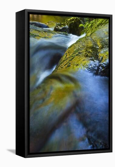 USA, Oregon. Water Flow over Rocks in Creek-Jaynes Gallery-Framed Premier Image Canvas