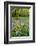 USA, Oregon, West Linn. Wildflowers in Camassia Natural Area-Steve Terrill-Framed Photographic Print