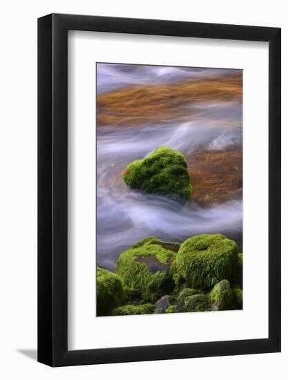 USA, Oregon, Willamette National Forest. Mckenzie River Flowing over Moss-Covered Rocks-Jaynes Gallery-Framed Photographic Print