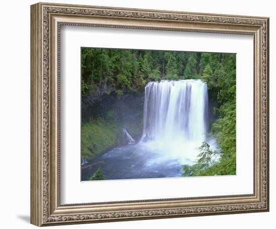 USA, Oregon. Willamette National Forest, McKenzie River plummets over Koosah Falls in spring.-John Barger-Framed Photographic Print