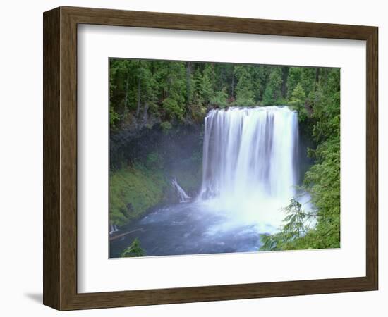 USA, Oregon. Willamette National Forest, McKenzie River plummets over Koosah Falls in spring.-John Barger-Framed Photographic Print