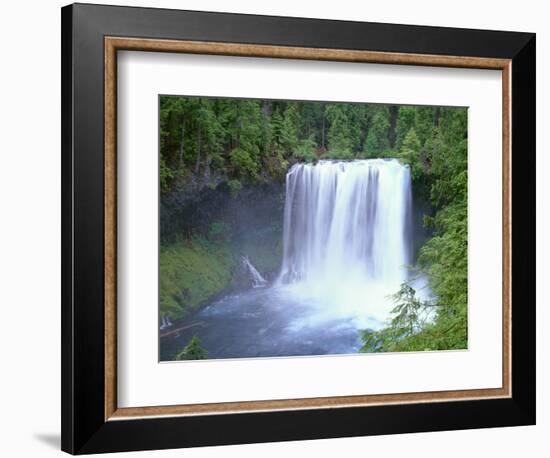 USA, Oregon. Willamette National Forest, McKenzie River plummets over Koosah Falls in spring.-John Barger-Framed Photographic Print