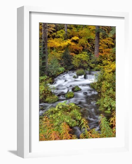 USA, Oregon, Willamette National Forest. Roaring River Running Through Oregon-Jaynes Gallery-Framed Photographic Print