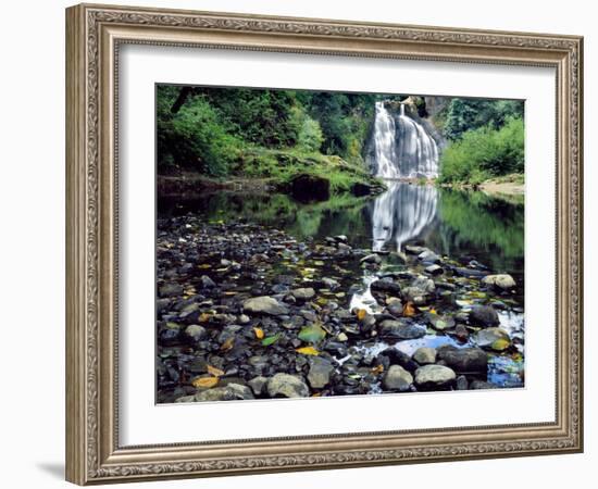 USA, Oregon, Young's River Falls. Waterfall Landscape-Steve Terrill-Framed Photographic Print