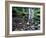 USA, Oregon, Young's River Falls. Waterfall Landscape-Steve Terrill-Framed Photographic Print