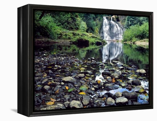 USA, Oregon, Young's River Falls. Waterfall Landscape-Steve Terrill-Framed Premier Image Canvas