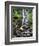 USA, Oregon, Young's River Falls. Waterfall Landscape-Steve Terrill-Framed Photographic Print