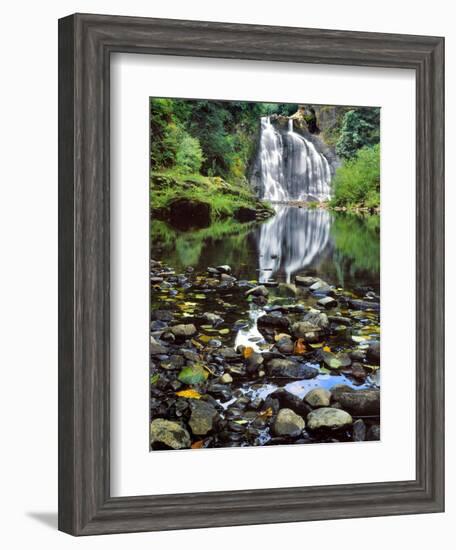 USA, Oregon, Young's River Falls. Waterfall Landscape-Steve Terrill-Framed Photographic Print