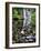 USA, Oregon, Young's River Falls. Waterfall Landscape-Steve Terrill-Framed Photographic Print