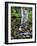 USA, Oregon, Young's River Falls. Waterfall Landscape-Steve Terrill-Framed Photographic Print