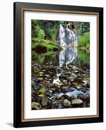 USA, Oregon, Young's River Falls. Waterfall Landscape-Steve Terrill-Framed Photographic Print