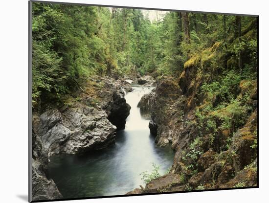 Usa, Pacific Northwest, a Stream Flows from the Forest-Christopher Talbot Frank-Mounted Photographic Print