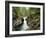 Usa, Pacific Northwest, a Stream Flows from the Forest-Christopher Talbot Frank-Framed Photographic Print