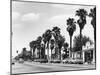 USA, Palm Springs-null-Mounted Photographic Print