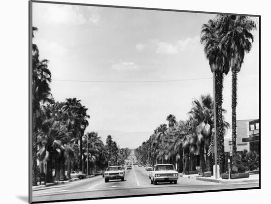 USA, Palm Springs-null-Mounted Photographic Print