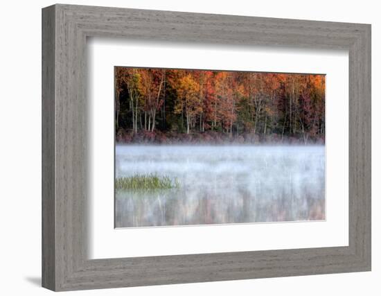 USA, Pennsylvania, Benton. Fog over Pond-Jay O'brien-Framed Photographic Print