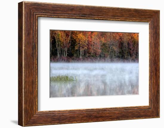 USA, Pennsylvania, Benton. Fog over Pond-Jay O'brien-Framed Photographic Print