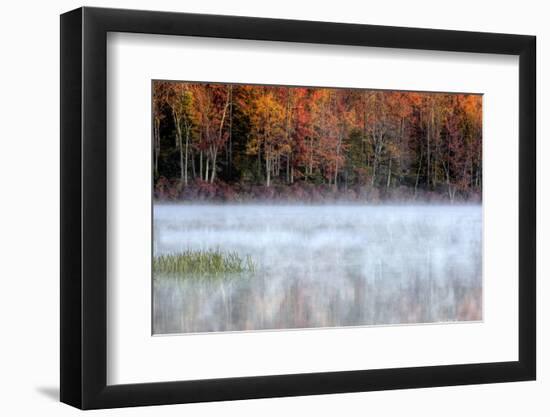 USA, Pennsylvania, Benton. Fog over Pond-Jay O'brien-Framed Photographic Print