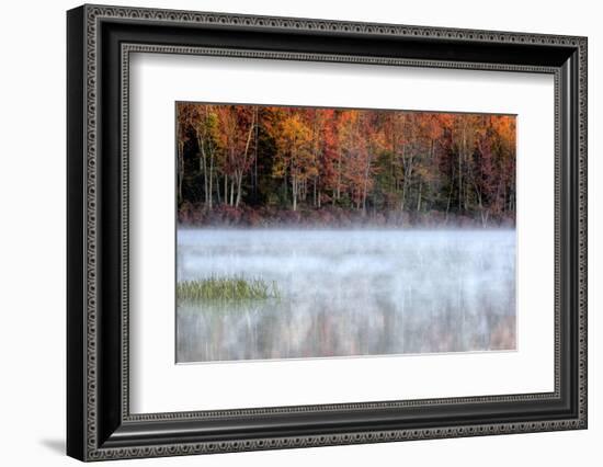 USA, Pennsylvania, Benton. Fog over Pond-Jay O'brien-Framed Photographic Print