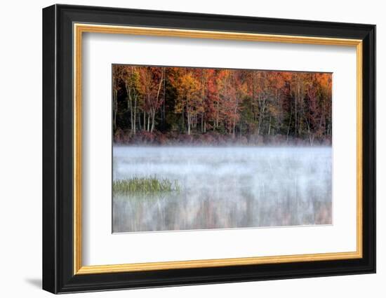 USA, Pennsylvania, Benton. Fog over Pond-Jay O'brien-Framed Photographic Print