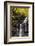 USA, Pennsylvania, Benton. Waterfall in Ricketts Glen State Park-Jay O'brien-Framed Photographic Print