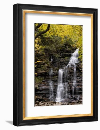 USA, Pennsylvania, Benton. Waterfall in Ricketts Glen State Park-Jay O'brien-Framed Photographic Print