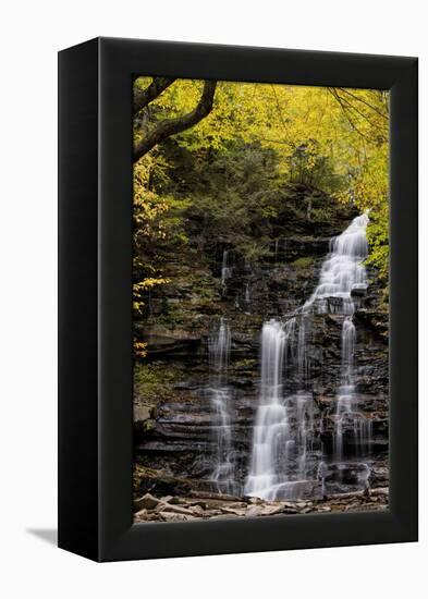 USA, Pennsylvania, Benton. Waterfall in Ricketts Glen State Park-Jay O'brien-Framed Premier Image Canvas