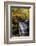 USA, Pennsylvania, Benton. Waterfall in Ricketts Glen State Park-Jay O'brien-Framed Photographic Print