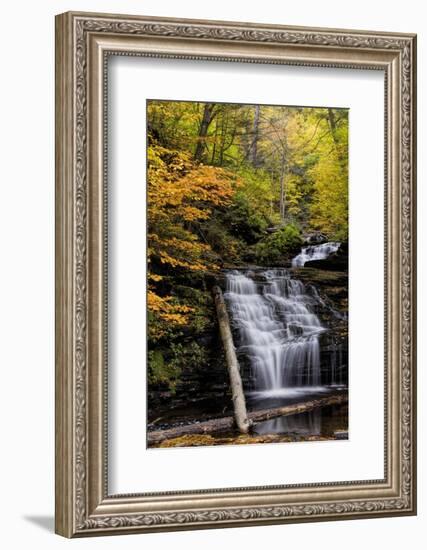 USA, Pennsylvania, Benton. Waterfall in Ricketts Glen State Park-Jay O'brien-Framed Photographic Print