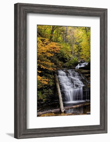 USA, Pennsylvania, Benton. Waterfall in Ricketts Glen State Park-Jay O'brien-Framed Photographic Print