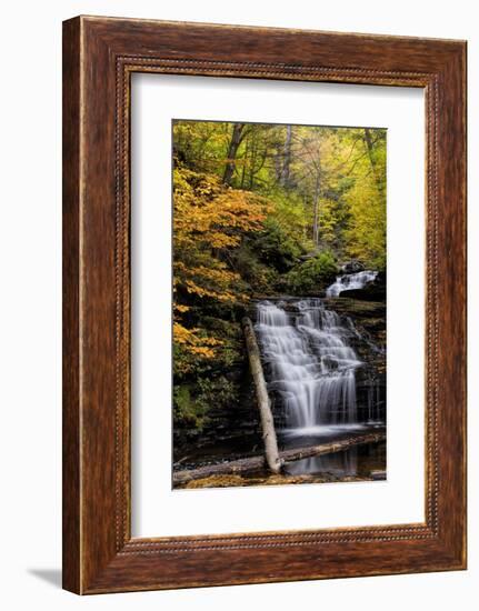 USA, Pennsylvania, Benton. Waterfall in Ricketts Glen State Park-Jay O'brien-Framed Photographic Print