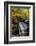 USA, Pennsylvania, Benton. Waterfall in Ricketts Glen State Park-Jay O'brien-Framed Photographic Print