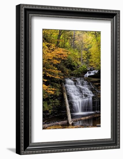 USA, Pennsylvania, Benton. Waterfall in Ricketts Glen State Park-Jay O'brien-Framed Photographic Print