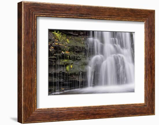 USA, Pennsylvania, Benton. Waterfall in Ricketts Glen State Park-Jay O'brien-Framed Photographic Print