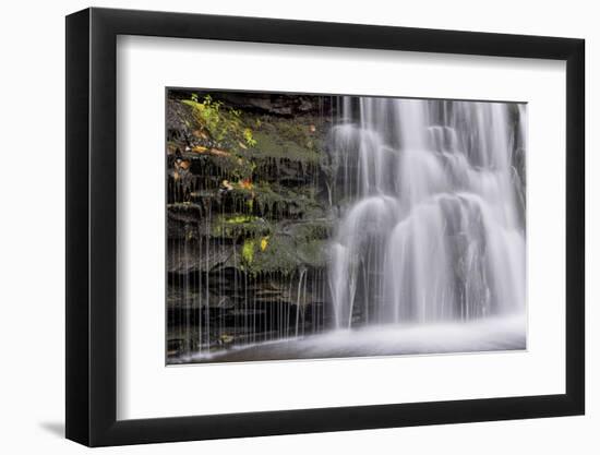 USA, Pennsylvania, Benton. Waterfall in Ricketts Glen State Park-Jay O'brien-Framed Photographic Print