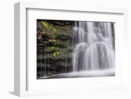 USA, Pennsylvania, Benton. Waterfall in Ricketts Glen State Park-Jay O'brien-Framed Photographic Print