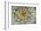 USA, Pennsylvania. Dandelion Seedhead Close Up-Jaynes Gallery-Framed Photographic Print